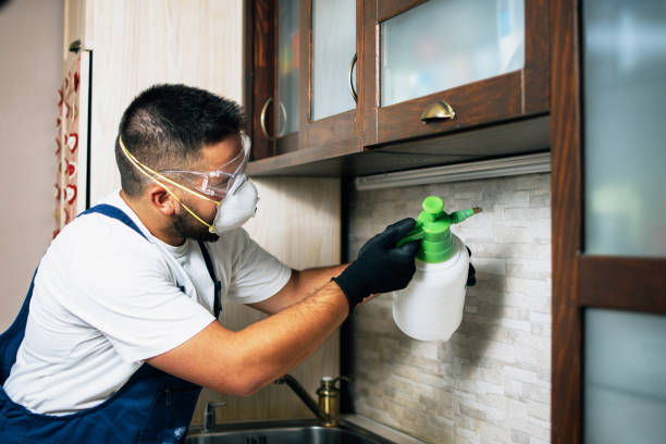 Best Rat Extermination Near Me  in Berlin, NJ