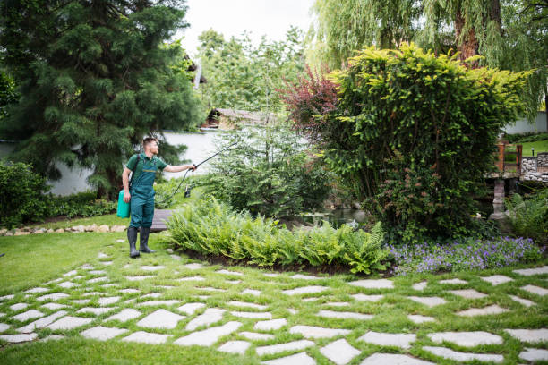 Trusted Berlin, NJ Pest Control Experts