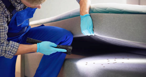 Best Bed Bug Extermination  in Berlin, NJ